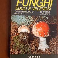 Funghi eduli e velenosi