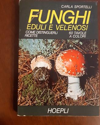 Funghi eduli e velenosi