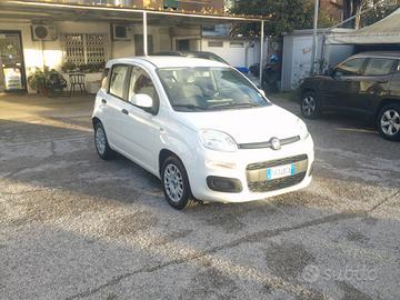 FIAT PANDA 1.2 69cv Pandazzurri