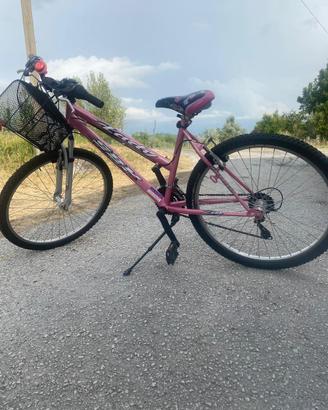 Montain bike donna