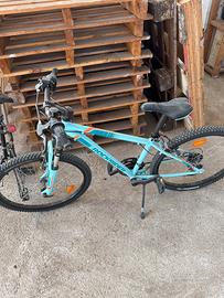 Mountan bike bambino