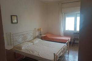 Specchiolla marina (Carovigno)