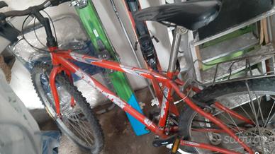 bicicletta mountain bike con portapacchi 