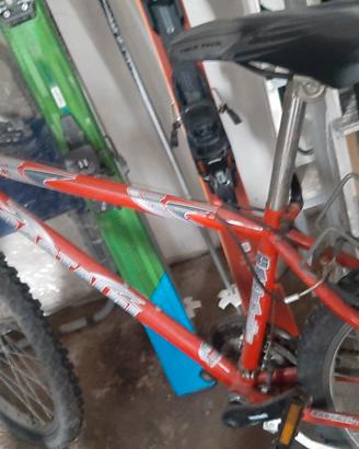 bicicletta mountain bike con portapacchi 