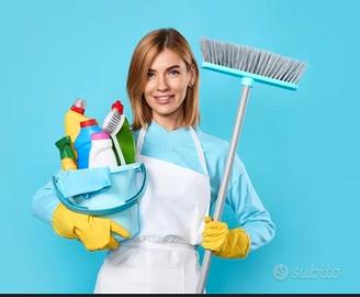 Addetta pulizie