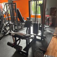LEG EXTENSION