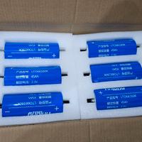 Celle LTO YinLong 45 ah pacco litio car audio