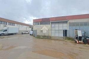 CAPANNONE A FOLLONICA