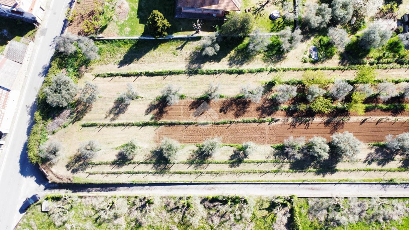 TER. RESIDENZIALE A FIANO ROMANO - Vista 5