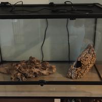 teca rettili+ attrezzatura