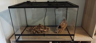 teca rettili+ attrezzatura
