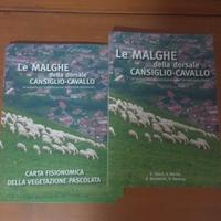 le malghe del Cansiglio e cavallo 