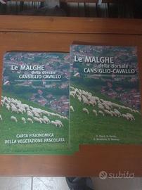 le malghe del Cansiglio e cavallo 
