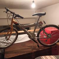 bicicletta - mountain bike