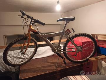 bicicletta - mountain bike