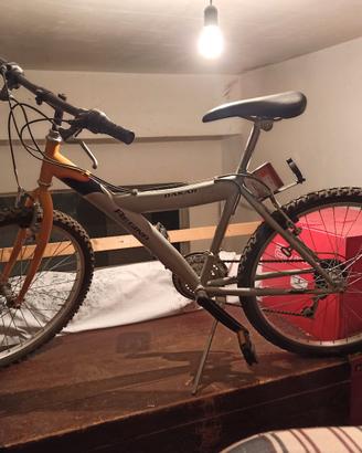 bicicletta - mountain bike