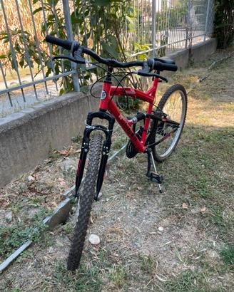 Mountain bike 26 pollici