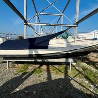 Barca a motore Boston Whaler