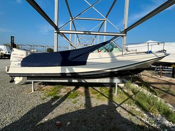 Barca a motore Boston Whaler