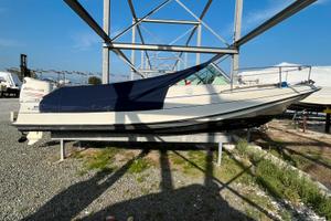 Barca a motore Boston Whaler