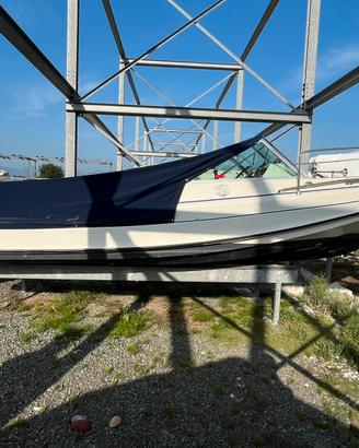 Barca a motore Boston Whaler