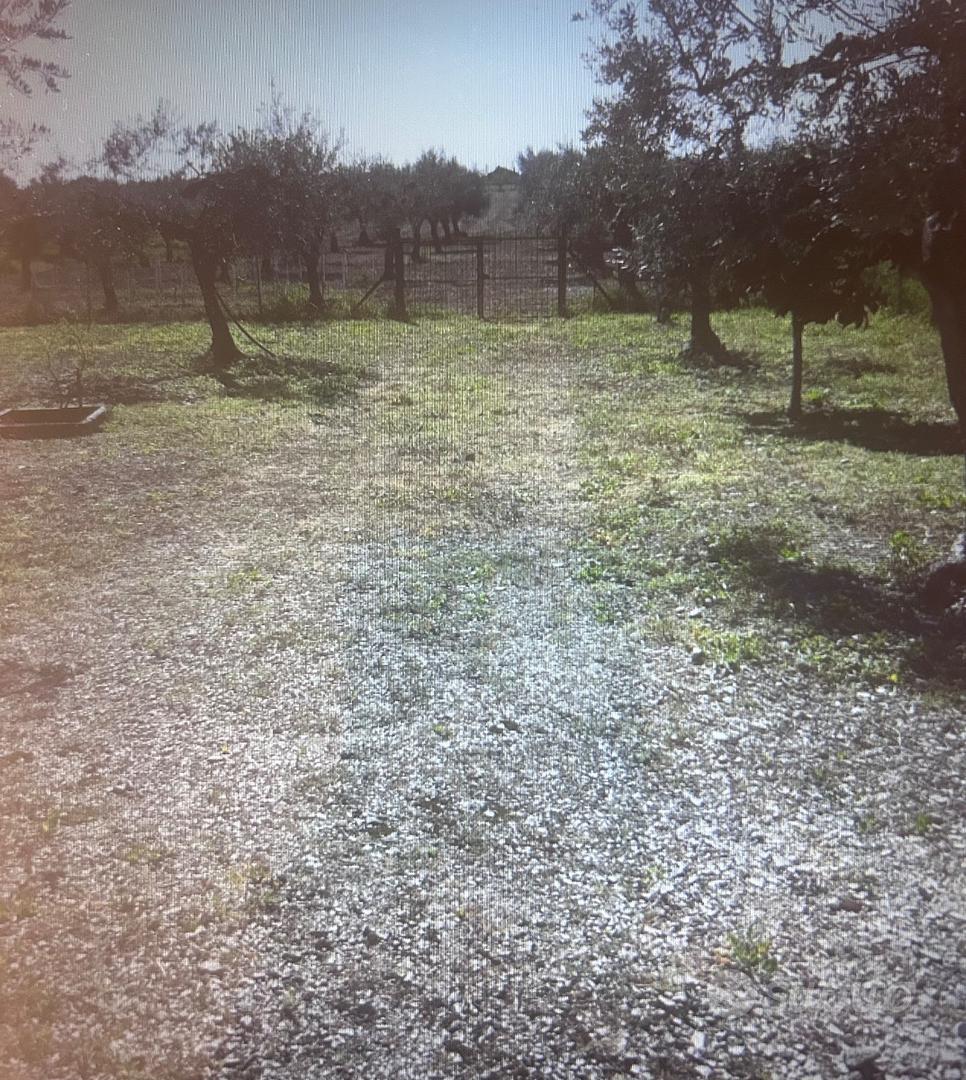 Terreno agricolo - Vista 2