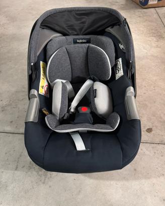Ovetto inglesina darwin infant