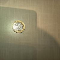 moneta One pound regina Elisabetta 2018