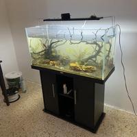 acquario 200 Lt con mobile