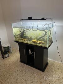 acquario 200 Lt con mobile