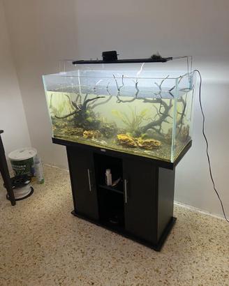 acquario 200 Lt con mobile