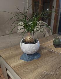 Vaso Luna Arredo Casa