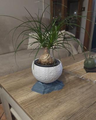 Vaso Luna Arredo Casa