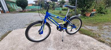 Due biciclette da ragazzini