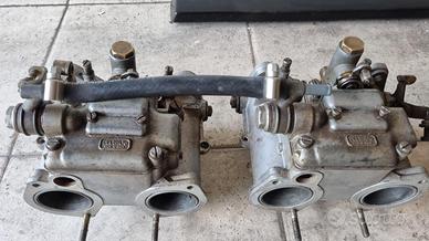 Carburatori dell'orto