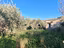 Immagine 19