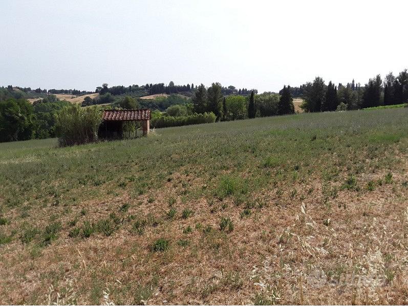 Pisa - Terreno agricolo seminativo 2,3 ettari - Vista 4