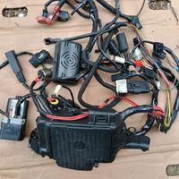 Harley sportster impianto elettrico 