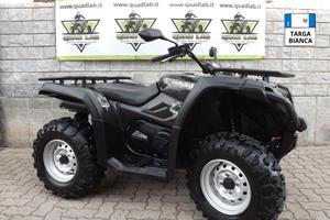 Cf Moto CForce 450