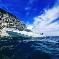 Boston Whaler 21 Revenge