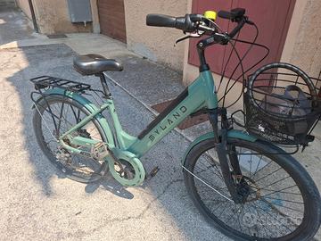 Bicicletta Elettrica  