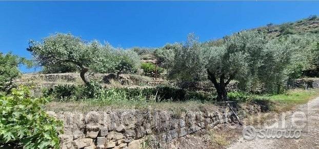 Terreno 10.000mq con rustici a Calatabiano - Vista 3
