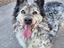 Immagine 1