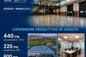 Gussago - Mandolossa Capannone
