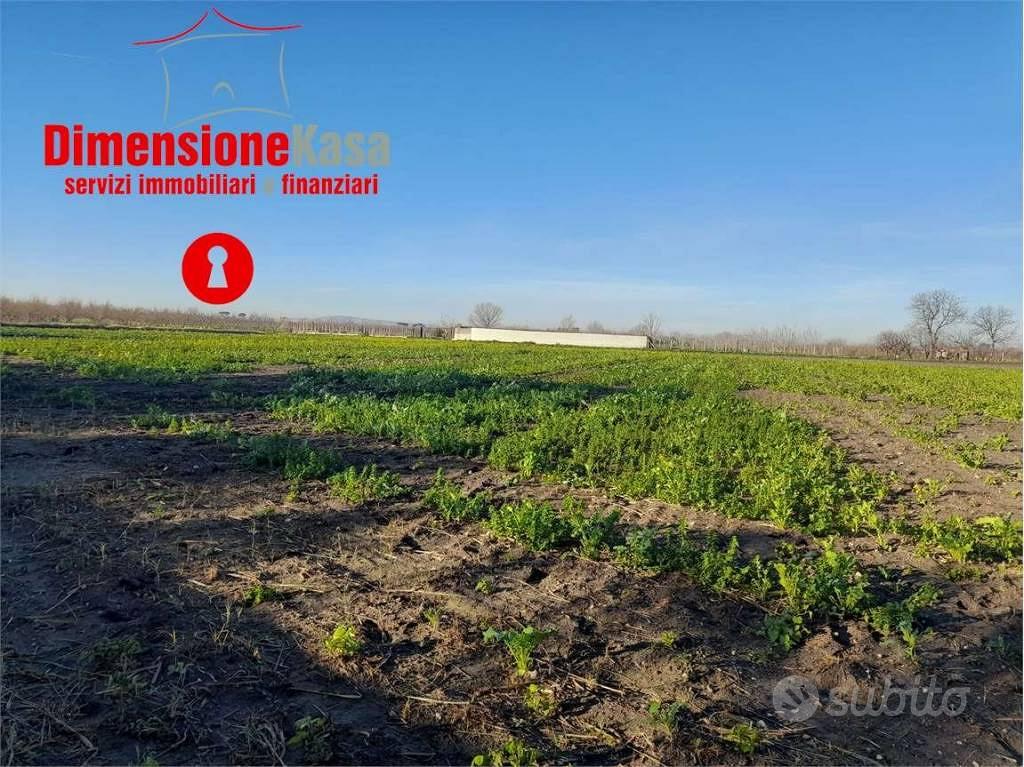 Terreno di 4840 m² a Nola - Vista 4