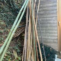 Canne di bambu