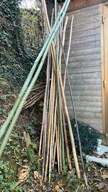 Canne di bambu