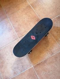 Skateboatrd Schildkroet 17"