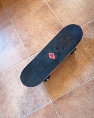 Skateboatrd Schildkroet 17"