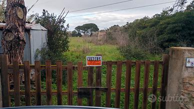 Terreno agricolo santa teresa gallura